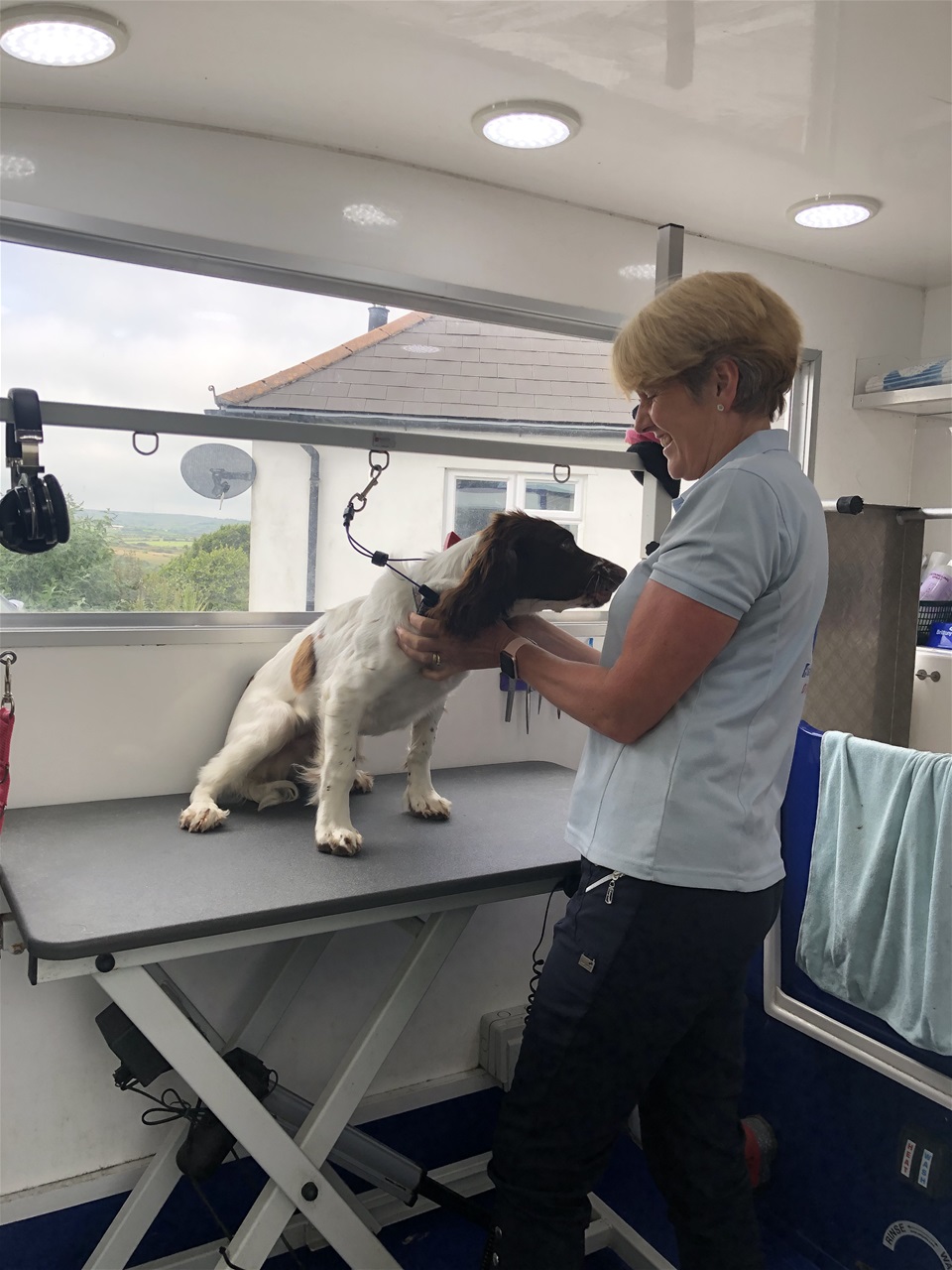 Mobile dog 2024 grooming table view